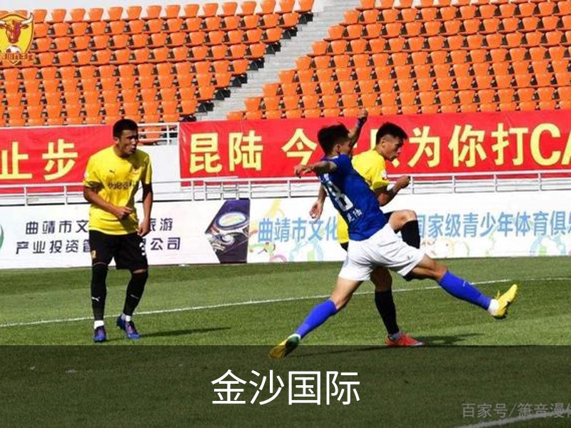 金沙国际简介